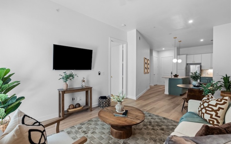 1 bedroom apartment